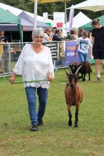 BDZ Züchterin Andrea Pust